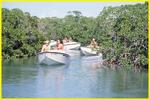 Safari Speed Boat Snorkel Tours Key West, Florida